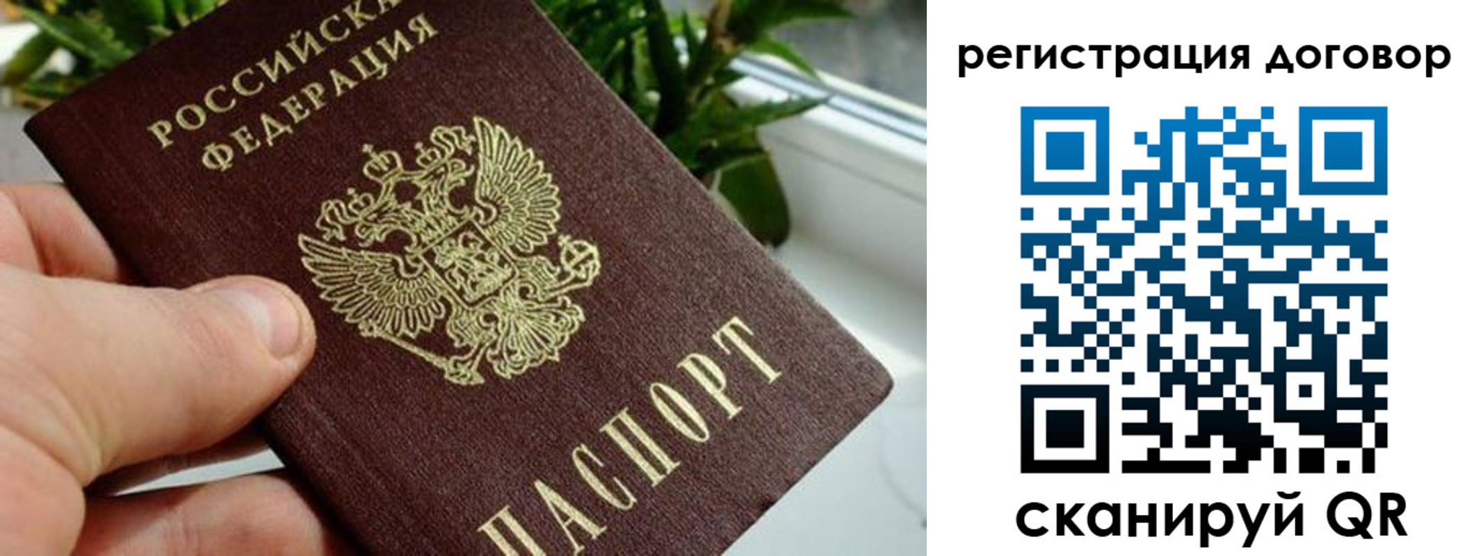 прописка ребенка в Реже